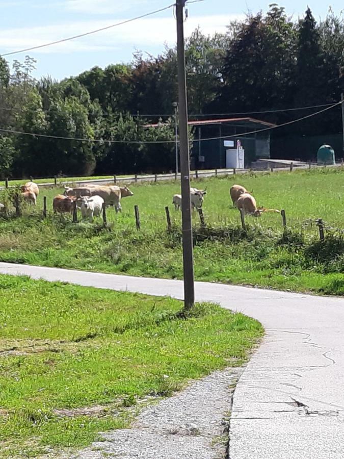 Casa Rural Irigoien San Sebastian Bilik gambar